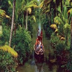 Munnar Alleppey Cherai Tour, Kerala 4N/5D ( 2N Munnar, 1N Alleppey, 1N Cherai )